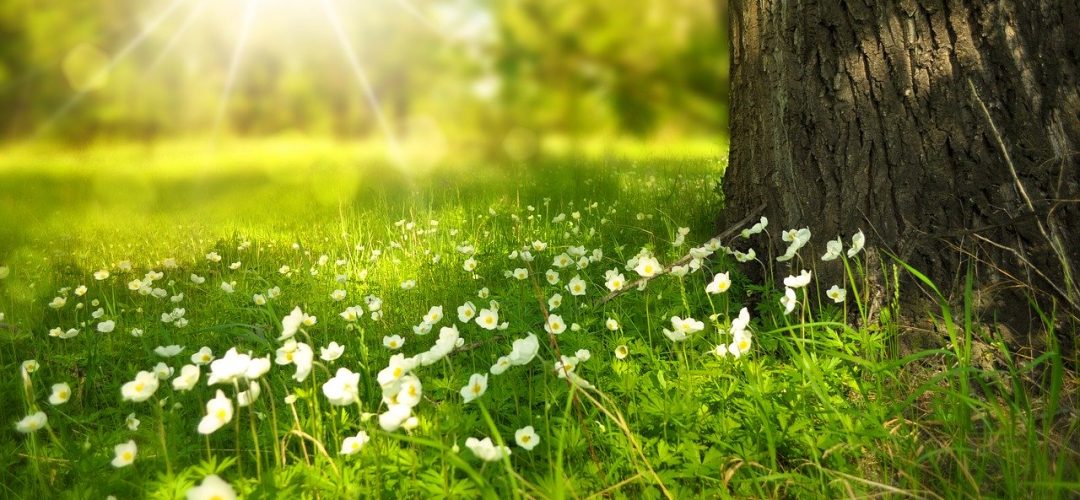 Guidance spirituelle